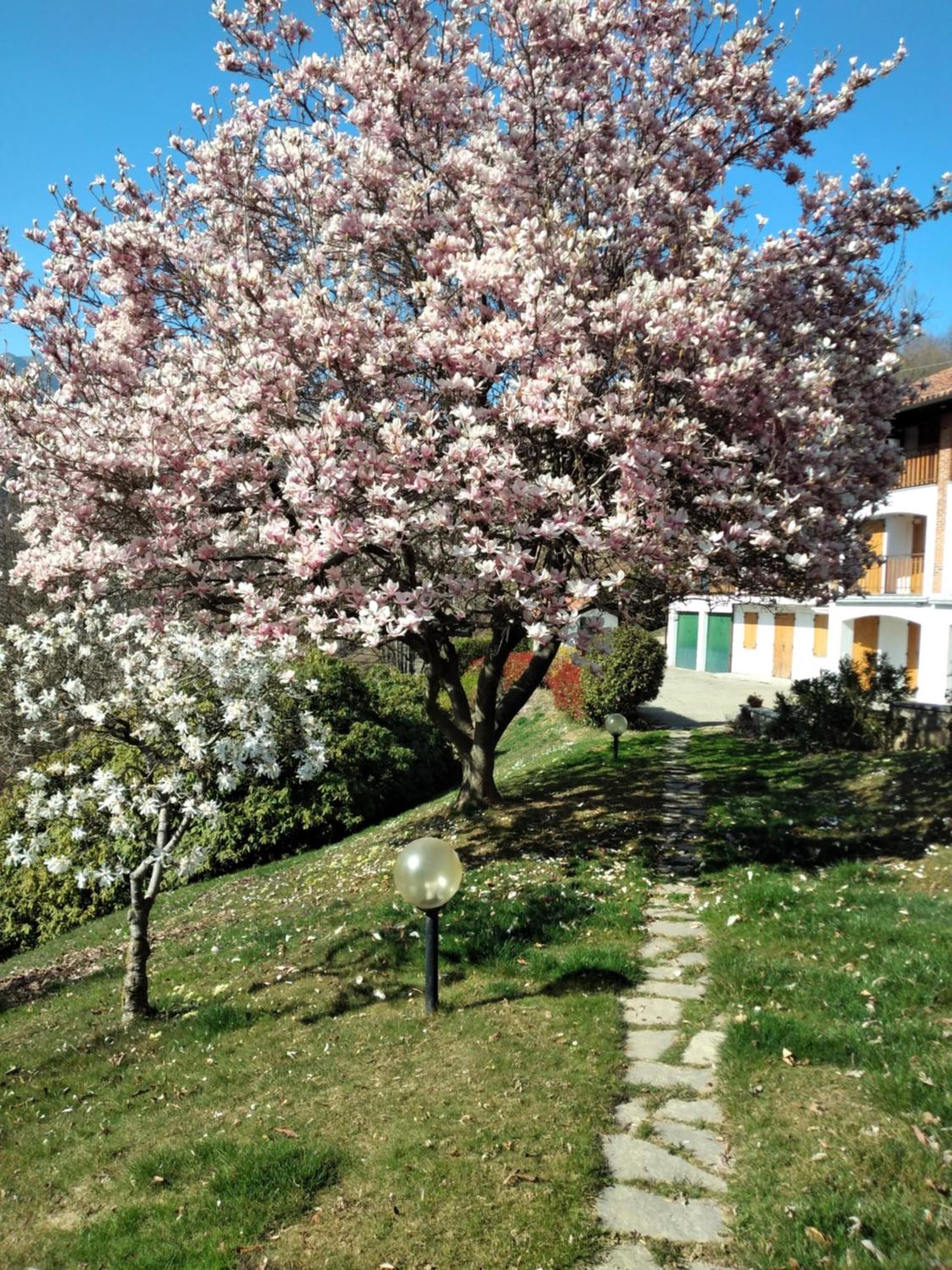 Appartamento A Due Passi Da Burcina Favaro Zewnętrze zdjęcie